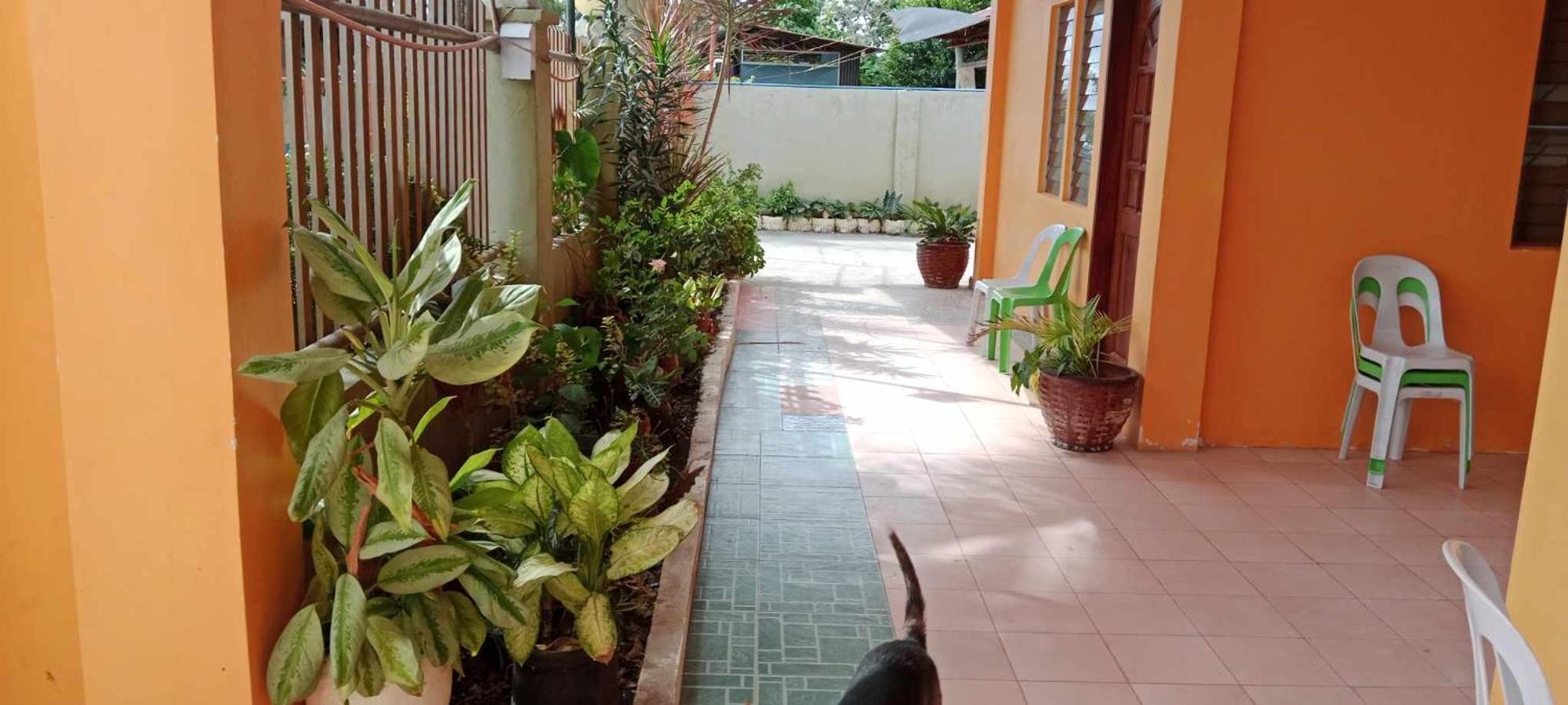 Hotel Jessa'S 5 Guests House Moalboal Exterior foto